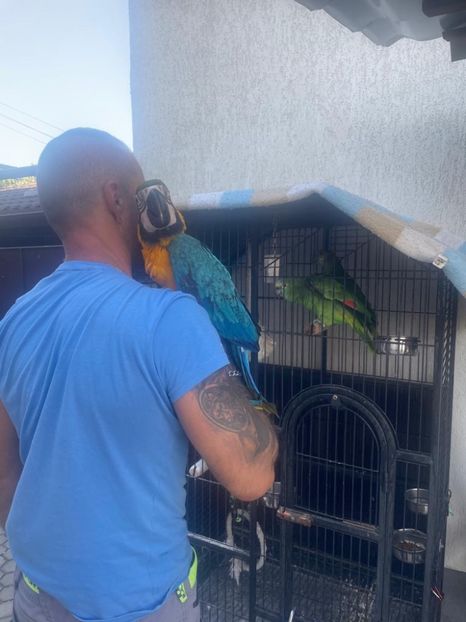 07297082-7dca-4a32-ade4-68f4f4de5f75 - Zeus