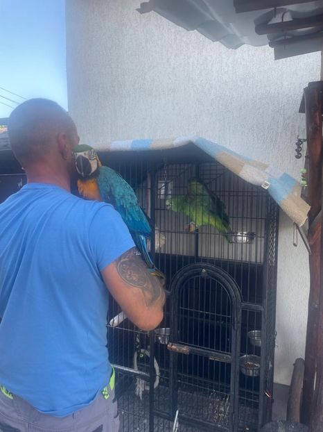 e89465b3-c564-41ea-8655-cbf34c1eed64 - Zeus