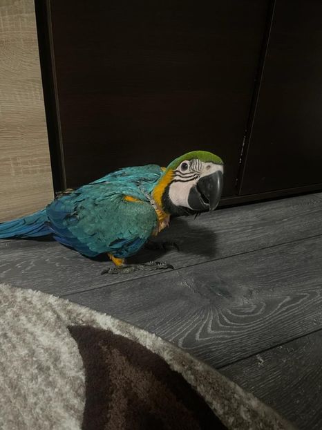 fec40497-6f6b-4235-b4d7-853ef8cb6f4a - Zeus