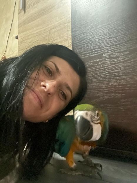 ae367b40-e212-42b3-9f7d-21fc308c8f81 - Zeus