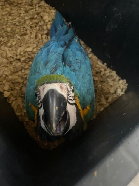 79951bdb-ad1f-4a58-9c2e-92b62059893c - Zeus