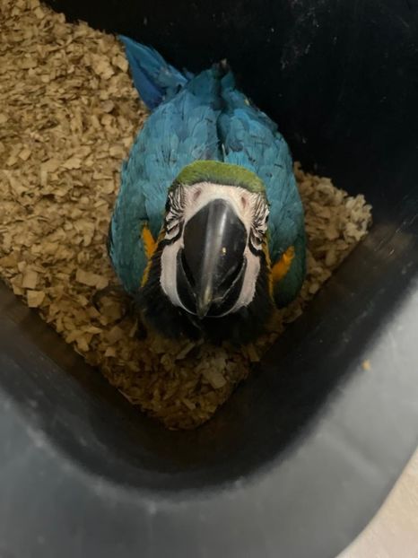 56d5851c-5a20-43ce-a3c4-04d159bb31ba - Zeus