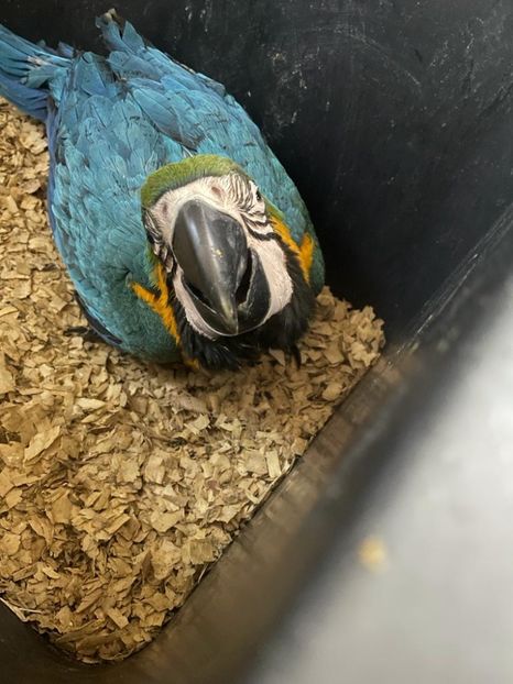 faf83dea-1f03-4c84-8ff5-6d30c8b6bc7c - Zeus