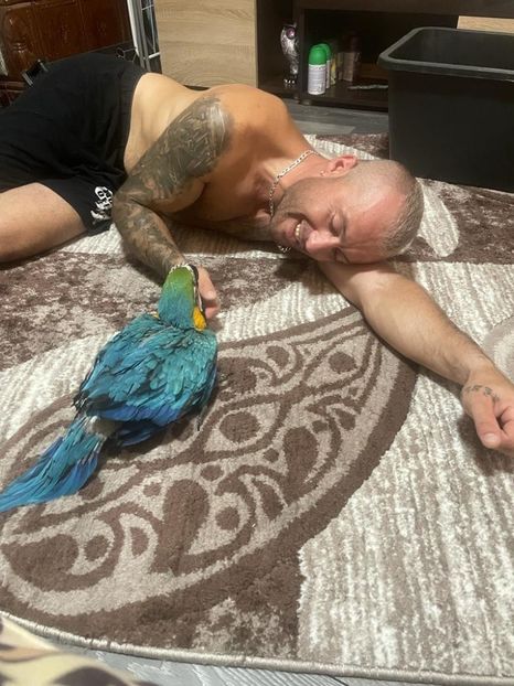 38da7c18-172c-4937-8bbb-a6b1e0710d3f - Zeus