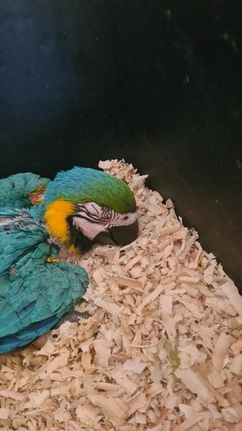 04d606ba-0027-4689-823c-29ce4cea6014 - Zeus