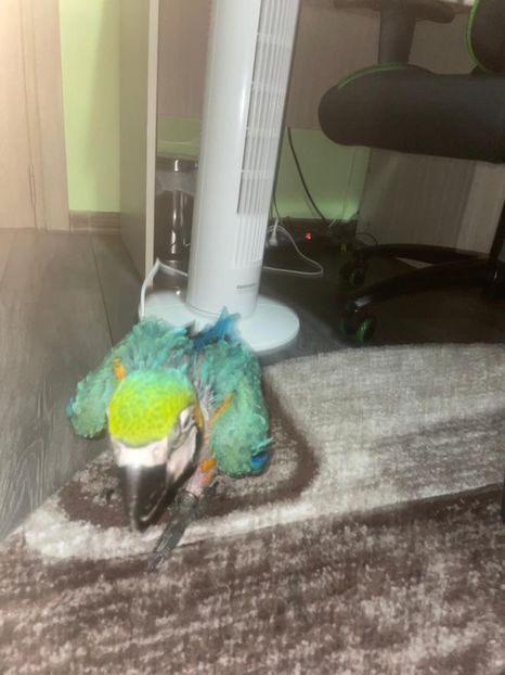 962fdfde-8cbe-494c-aa7d-a33d7c75e7e5 - Zeus