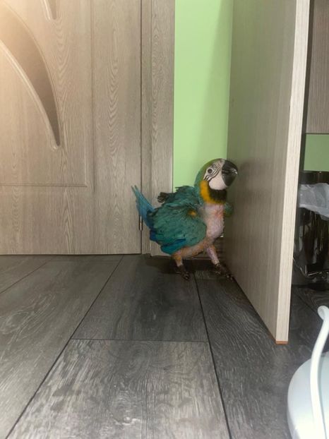 e9bd2a0f-1208-4fb4-85e4-1f7b33857a26 - Zeus