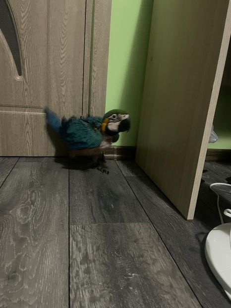 93f08599-8aad-4d5c-bee1-4881c207204f - Zeus