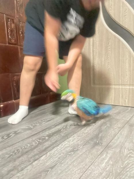 212af05d-7b23-43df-a966-75f0cb1f7c31 - Zeus