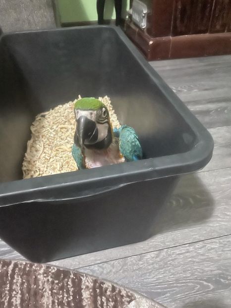 42427b02-bfd3-42f7-a920-bd239a1db6c9 - Zeus