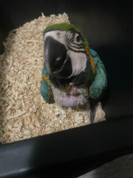 a751514b-2e99-4adc-b27f-c2bf7e6decae - Zeus