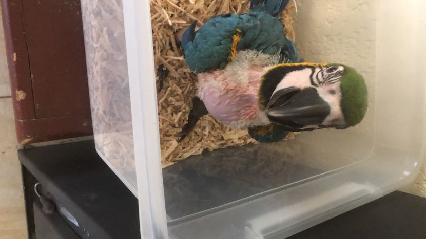 8CAE7EA1-779F-4201-BDAC-720F202C0838 - Zeus