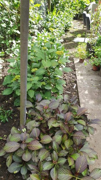 received_1510631103222323 - 0 GRADINA 2024