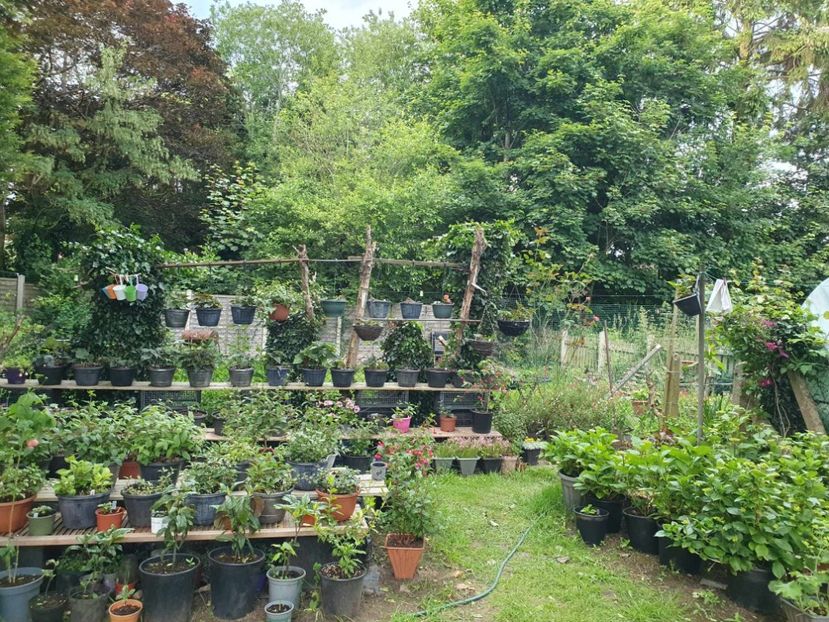 received_3325753364392724 - 0 GRADINA 2024
