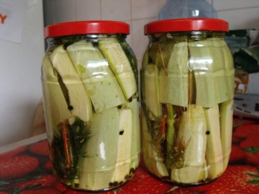  - Dovlecei murati de vara