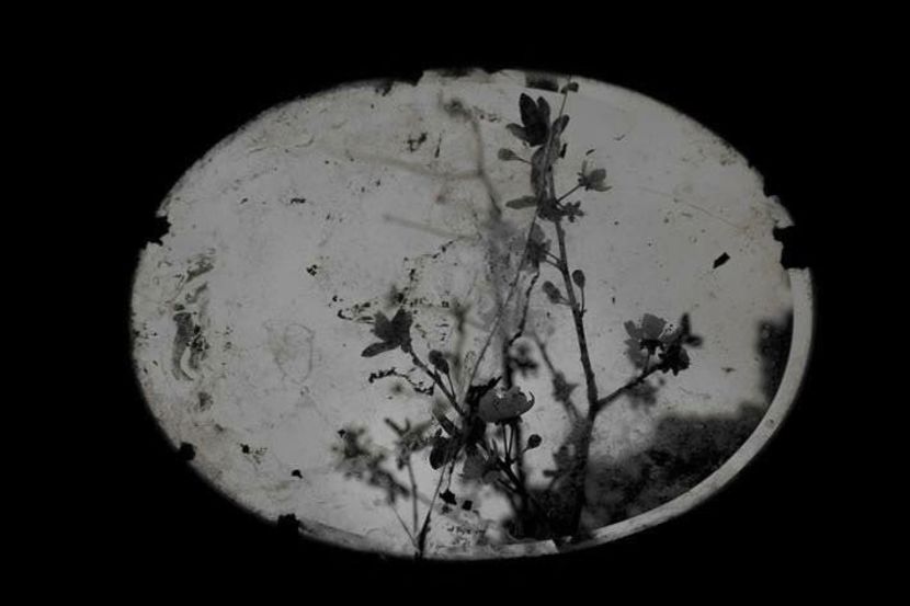 A Heavy Heart On a Lonesome Land； - Collection of Tintypes