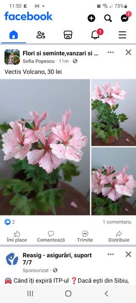 Screenshot_20240608-115031_Facebook - Iunie 2024