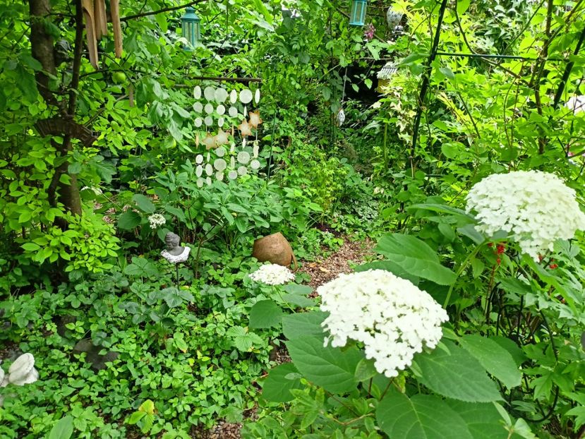  - Grădina 2024 continuare 3