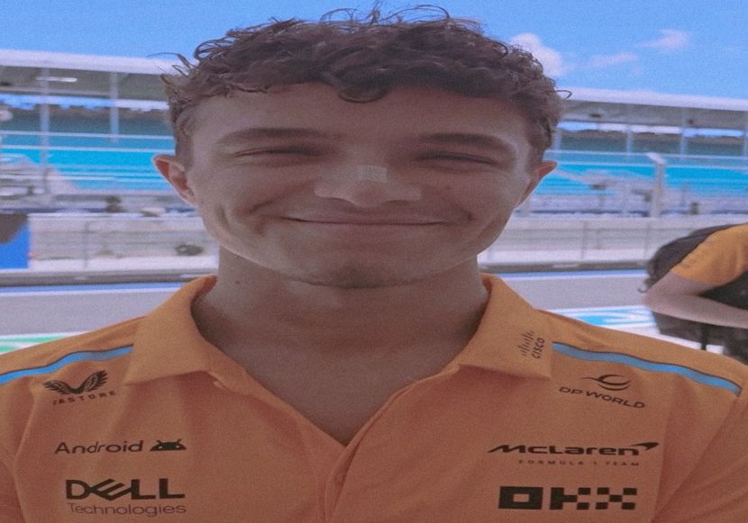 ◊ QueenCyrusx got Lando Norris ◊ - i d like a cheeseburger please large fries and a Cosmo - CB