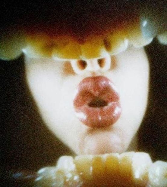 i put the tooth back check AAAAA see? - Collection of Tintypes