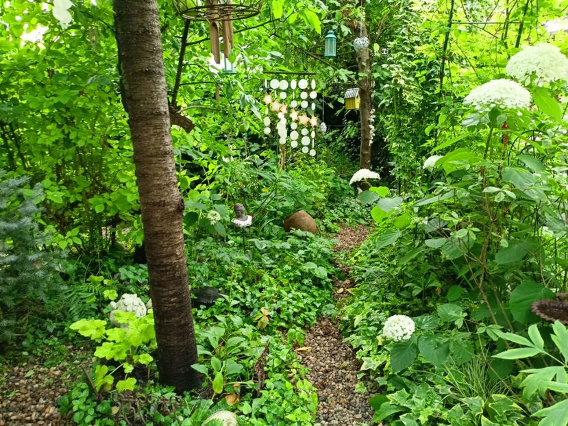  - Grădina 2024 continuare 3