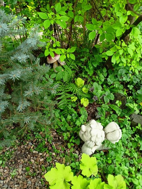  - Grădina 2024 continuare 3