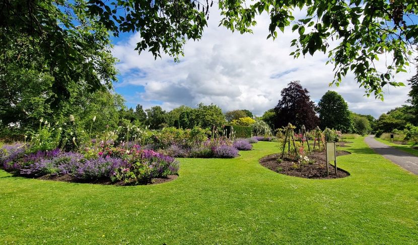  - 2024 Gradina botanica Cambridge