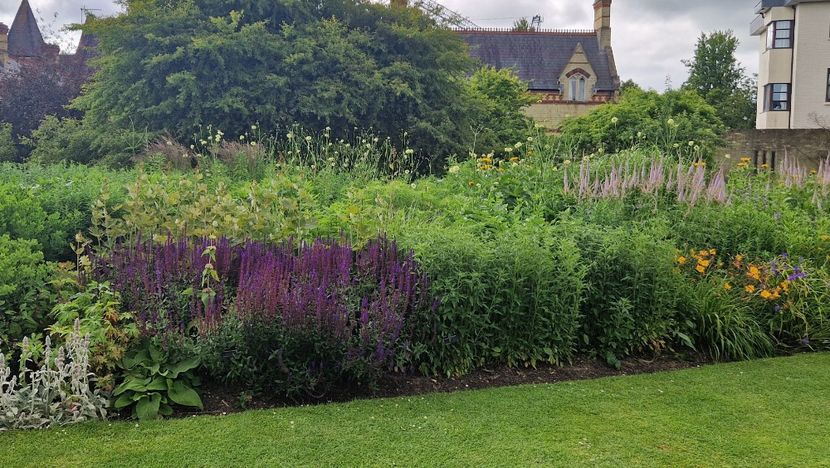  - 2024 Gradina botanica Cambridge