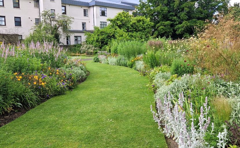  - 2024 Gradina botanica Cambridge