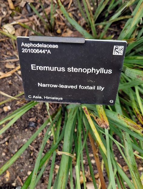  - 2024 Gradina botanica Cambridge