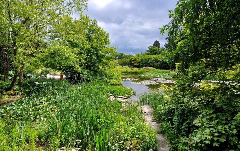  - 2024 Gradina botanica Cambridge