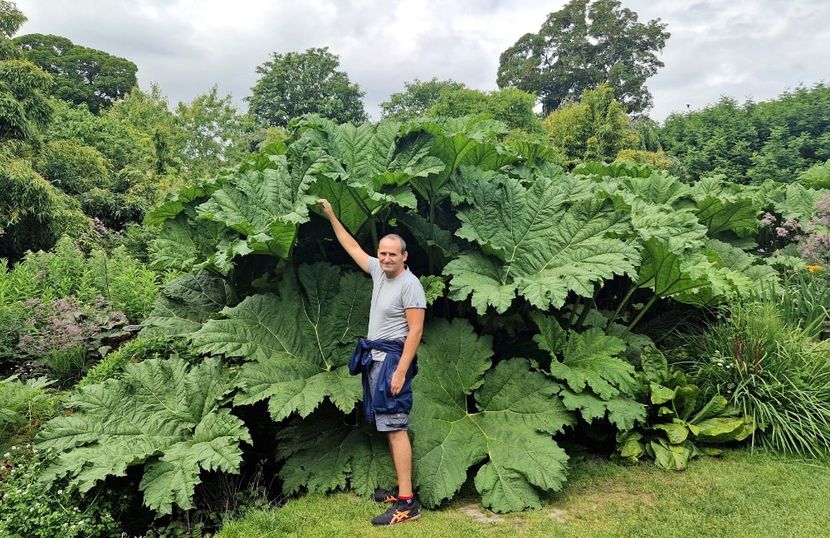  - 2024 Gradina botanica Cambridge