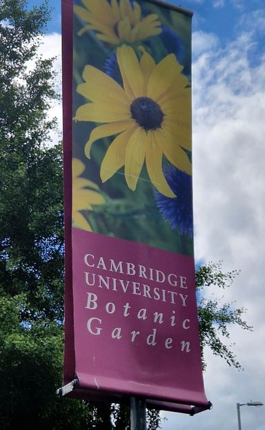  - 2024 Gradina botanica Cambridge