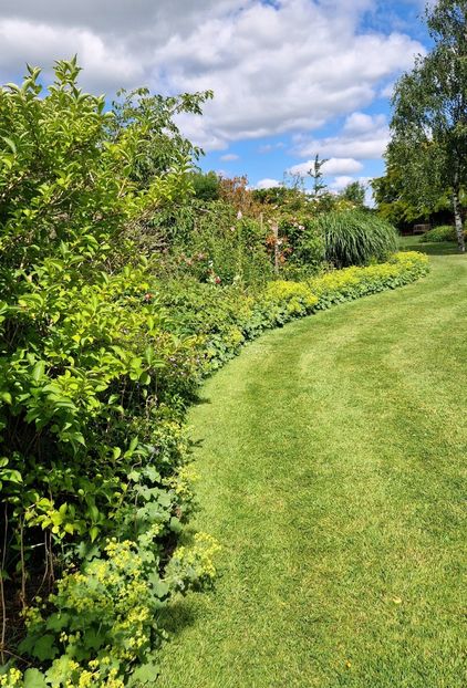  - 2024 Merriments Garden