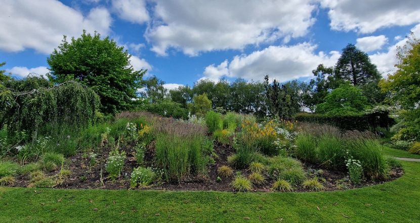  - 2024 Merriments Garden