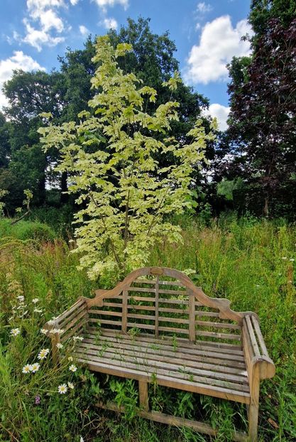  - 2024 Merriments Garden