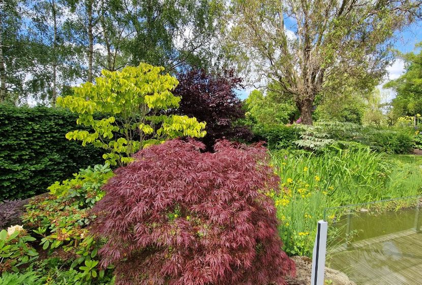  - 2024 Merriments Garden