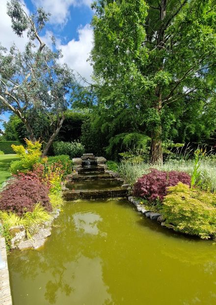  - 2024 Merriments Garden