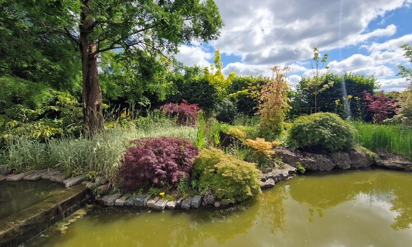  - 2024 Merriments Garden