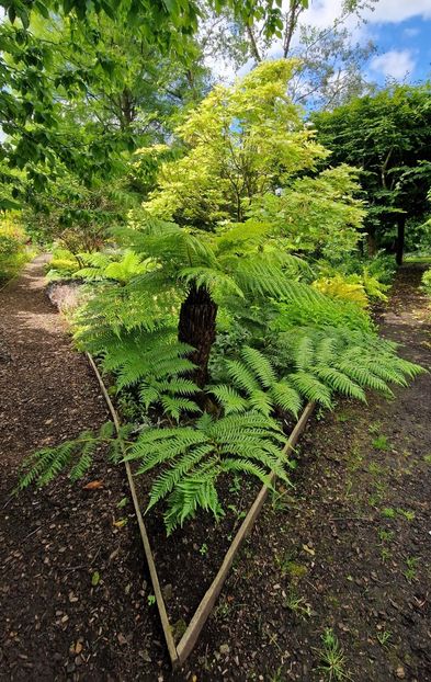  - 2024 Merriments Garden