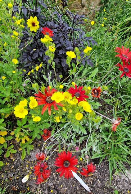  - 2024 Merriments Garden