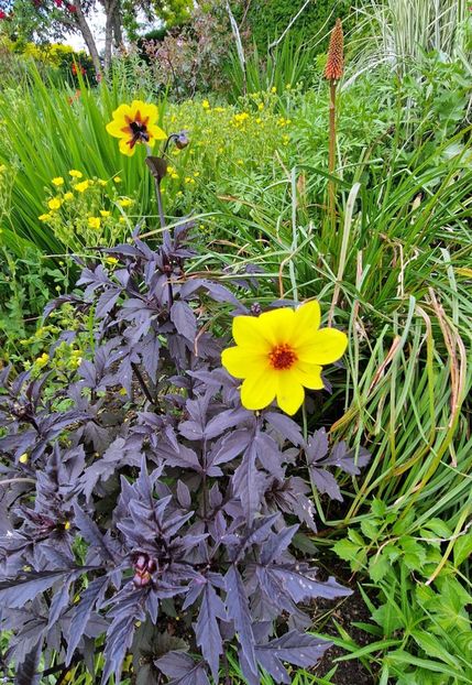  - 2024 Merriments Garden