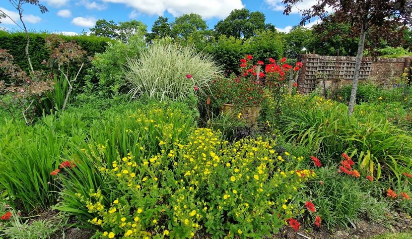  - 2024 Merriments Garden