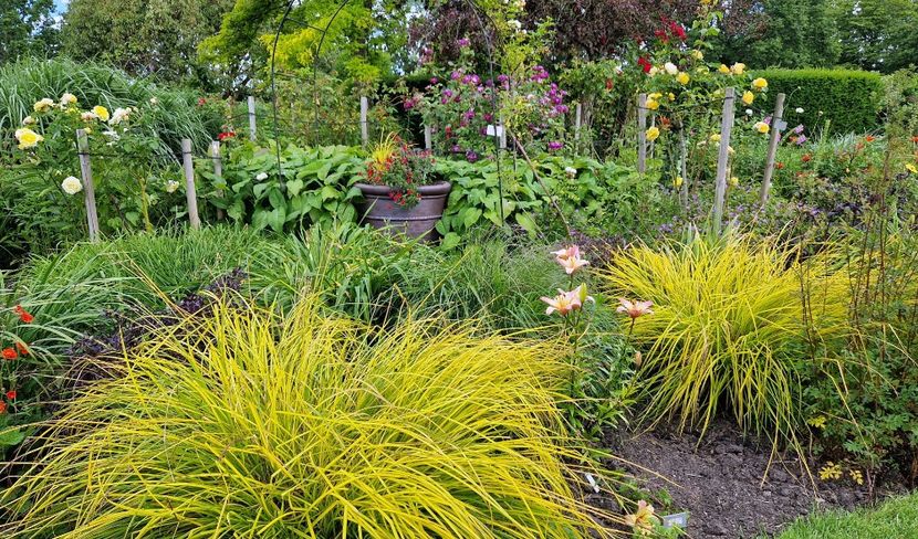  - 2024 Merriments Garden