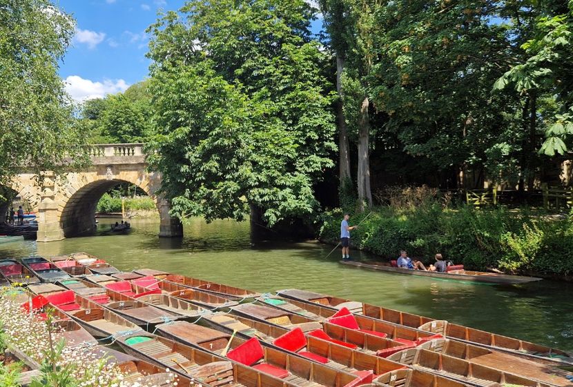  - 2024 Gradina botanica Oxford