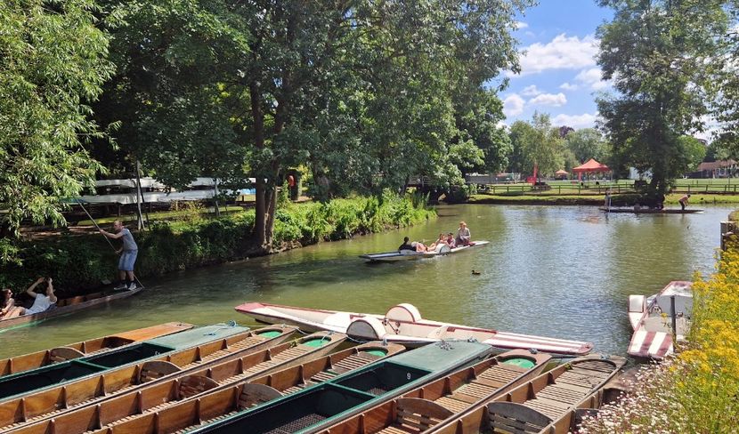  - 2024 Gradina botanica Oxford