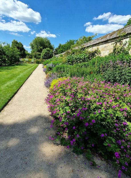  - 2024 Gradina botanica Oxford