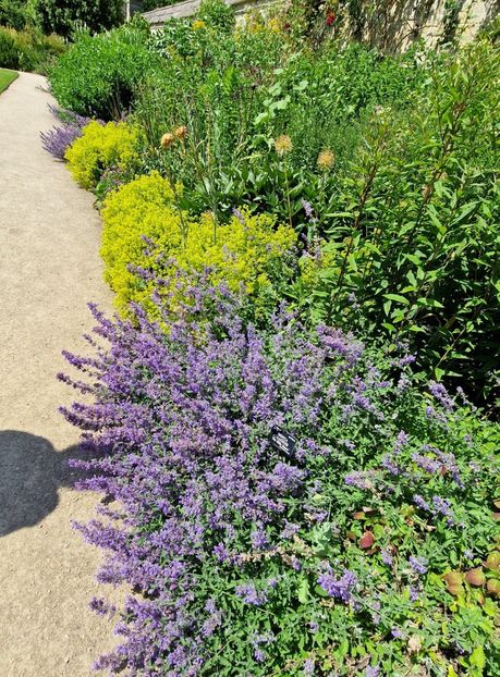  - 2024 Gradina botanica Oxford