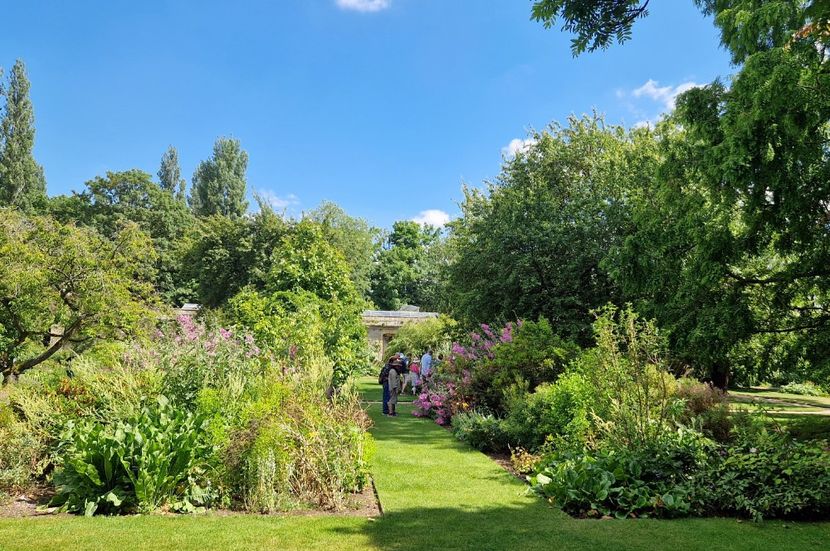 - 2024 Gradina botanica Oxford