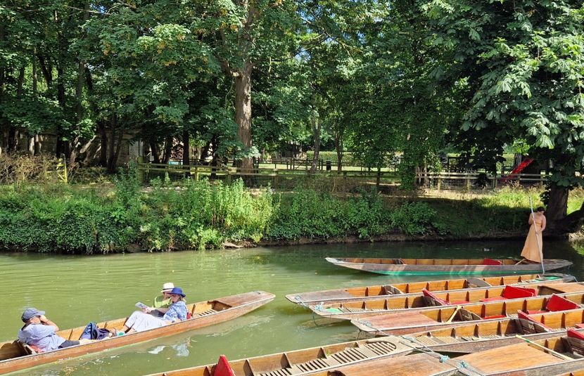  - 2024 Gradina botanica Oxford